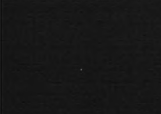 visible light CCD camera